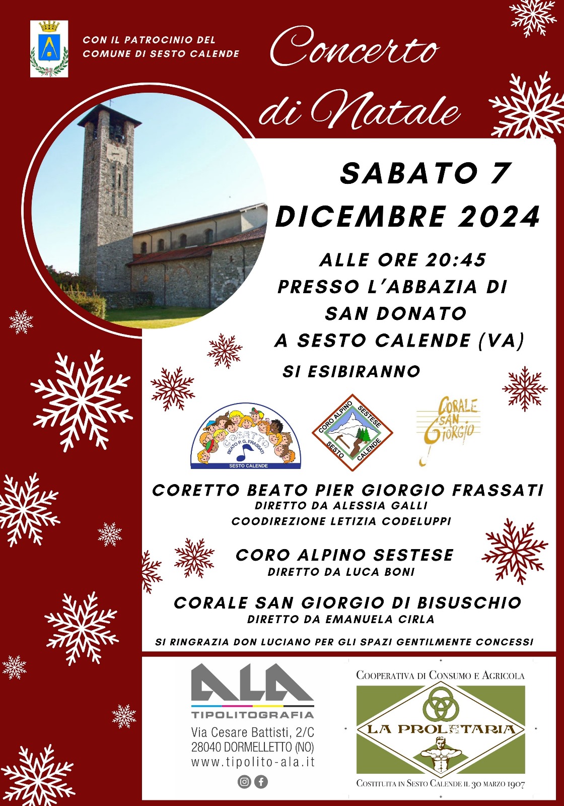 Scopri di più sull'articolo Concerto di Natale